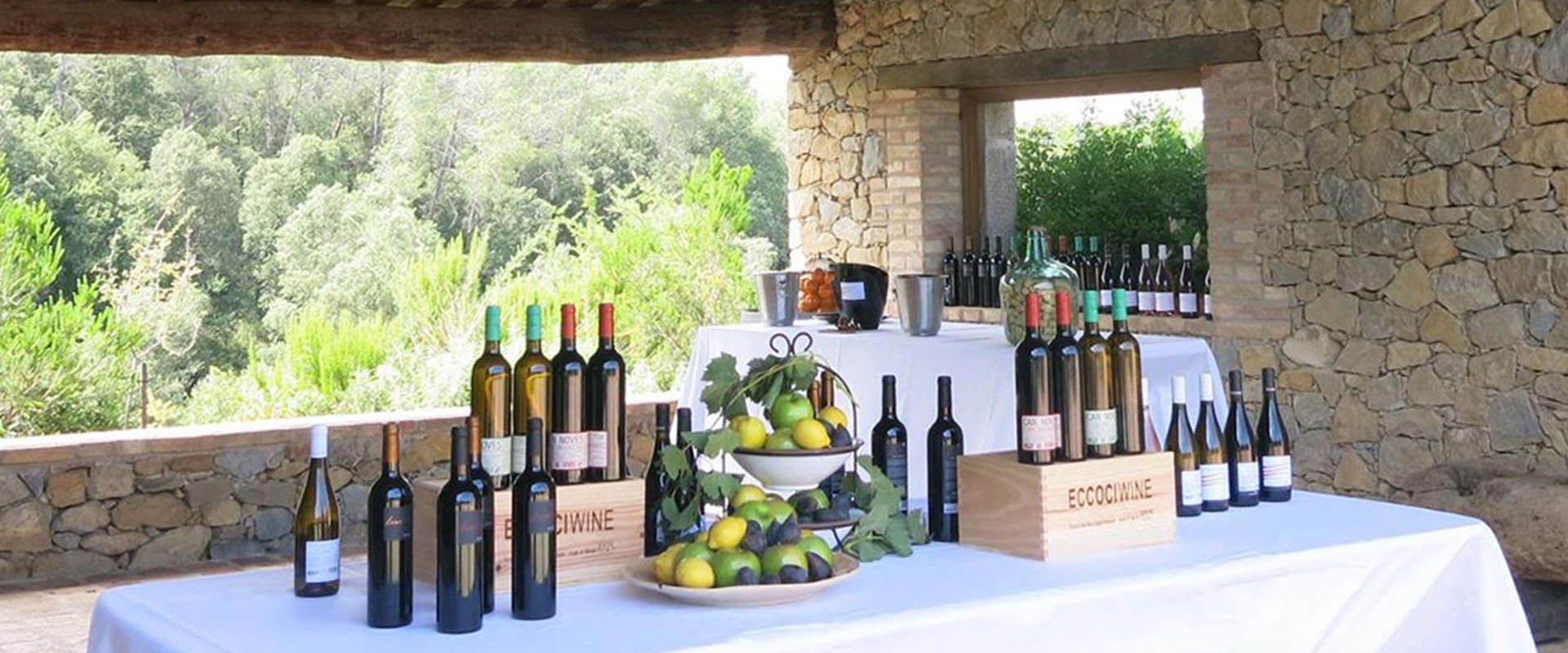 Cata de vinos Masía Mas Tarres en Madremanya (Girona) Cata de vinos Masía Mas Tarres en Madremanya (Girona)